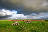 A person sitting at a picnic table in a vast green field under a dramatic cloudy sky.