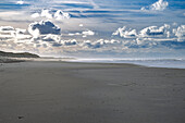 A serene beach scene with a vast sandy shore, distant dunes, and a dramatic cloudy sky. Two small figures walk along the shoreline, adding a sense of scale to the expansive landscape.