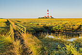 Leuchtturm Westerhever, Brücke über Priele, Schleswig-Holstein, Deutschland