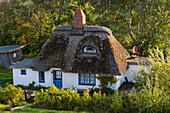  typical house with thatched roof, Westerhever, Schleswig-Holstein, Germany 