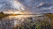 Sonnenaufgang am Staffelsee, Uffing, Allgäu, Bayern, Deutschland