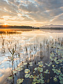 Sonnenaufgang am Staffelsee, Uffing, Allgäu, Bayern, Deutschland