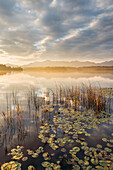  Sunrise at Staffelsee, Uffing, Allgäu, Bavaria, Germany 