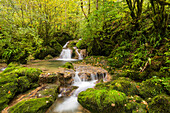 Bach im Cirque de Consolation, Consolation-Maisonnettes, Doubs, Frankreich