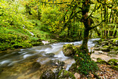  Hérisson River, Menétrux-en-Joux, Jura, France 