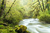  River Flumen, Septmoncel Les Molunes, Jura, France 