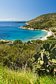  View of the bay of Cavoli, Elba Island, Tuscany, Italy 