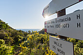  Signpost, Monte Cenno, Elba Island, Tuscany, Italy 