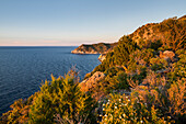  Punta Polveraia, Elba Island, Tuscany, Italy 