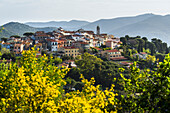 Blick auf Sant'Ilario in Campo, Insel Elba, Toskana, Italien