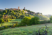  San Miniato, Tuscany, Italy 