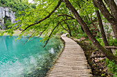 Holzsteg, Plitvice Nationalpark, Kroatien