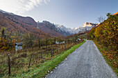 Strasse im Grebaje Tal, Prokletije Berge, Gusinje, Montenegro