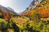  Ropojana Valley, Prokletije Mountains, Gusinje, Montenegro 