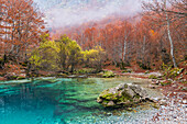 Oko Skakavice, The Eye, Ropojana Tal, Gusinje, Montenegro