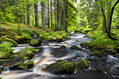  Höllfall, Großer Kamp, Waldviertel, Lower Austria, Austria 