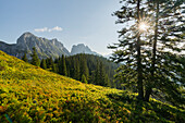  View of Kalbling, Sparafeld, Reichenstein, Gesäuse National Park, Ennstal Alps, Styria, Austria 