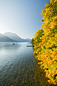  Traunsee, Traunstein, Upper Austria, Austria 