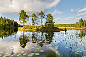  Lake in Glaskogen Nature Reserve, Värmland County, Sweden 