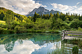  Zelenci spring, Steg, Sava Dolinka, Julian Alps, Slovenia 