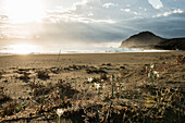  Lonely beach, Spiaggia Feraxi, sunrise, Capo Ferrato, Muravera, Province of Cagliari, Sardinia, Italy 