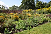  autumn bed in the Walled Garden 