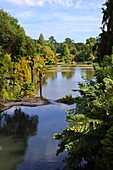  Sheffield Park House and Gardens, Uckfield, East Sussex, England, UK 