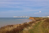  On the coast of the Isle of White, England, Great Britain 