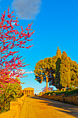 Temple of Concordia, Valley of Temples, Agrigento, Sicily, Italy