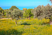 Temple of Concordia, Valley of Temples, Agrigento, Sicily, Italy