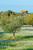 Concordia temple, Valley of Temples, Agrigento, Sicily, Italy