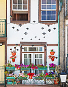 Traditional building facade, Guimaraes, Minho Region, Portugal