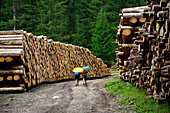  Two hikers with open umbrellas on a path between huge piles of wood. South Tyrol, Italy, Europe\n\n 