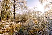  Winter landscape with hoarfrost in the Sempttal near Erding in Upper Bavaria 