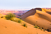 Dunes at Wahiba Sands ou Sharqiya Sands, Sultanat d'Oman, Péninsule arabique, Moyen-Orient. // The Sharqiya Sands, formerly known as Wahiba Sands, region of desert in Sultanate of Oman, Arabian Peninsula, Middle East