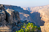 Canyon viwed from the Alila Jabal Akhdar hotel, nestled 2000 metres above sea level,  surrounded by Al Hajar Mountains, Sultanate of Oman, Arabian Peninsula, Middle East