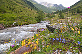 torrent, Riva Valley (Italian: Val di Riva, German: Reintal), adjacent to Ahrntal (Valle Aurina), Trentino-Alto Adige, Sudtyrol, South Tyrol, Italy, South-central Europe