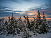  Sunrise near the Brocken, Brocken, Harz, National Park, Schierke, Wernigerode, sunrise, morning red, winter, frost, Harz district, Saxony-Anhalt, East Germany, Central Germany, Germany, Europe 