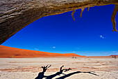 Abgestorbene Bäume, Sossusvlei, Deadvlei, Namib-Naukluft-Nationalpark, Namibia, Afrika