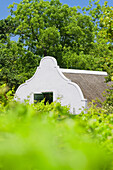  winery, Cape Dutch architecture, Stellenbosch, South Africa, Africa 