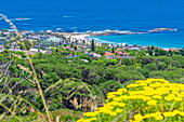 Blick vom Camps Bay Dr auf Camps Bay Beach und den Südatlantik, Camps Bay, Kapstadt, Südafrika, Afrika