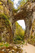  Natural Bridge at Natural Bridge State Park in Rockbridge County, Virginia, USA 