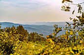  Panoramic view of the Virginia Blue Ridge Mountains from Skyline Drive in Shenandoah National Park, Virginia, USA 