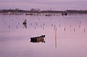 Sumpflandschaft bei Sonnenuntergang, Laguna von Venetien, Chioggia, Veneto, Italien, Europa