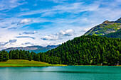 Beautiful Alpine Lake Silvaplana with Mountain View in the Swiss Alps in a Sunny Summer Day in Silvaplana, Maloja, Grisons, Switzerland.