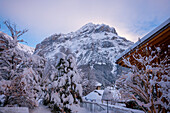 Blick vom Ort zu Berggipfel Eiger an einem verschneiten Wintertag bei Sonnenuntergang, Grindelwald, Kanton Bern, Schweiz