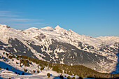 Panoramablick über die Berner Alpen mit Schwarzhorn, Skigebiet Grindelwald, Berner Oberland, Grindelwald, Kanton Bern, Schweiz.