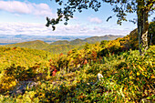  View of the Blue Ridge Mountains from the Blue Ridge Parkway, Virginia, USA 