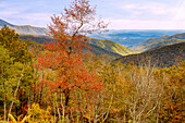  View of the Blue Ridge Mountains from the Blue Ridge Parkway, Virginia, USA 