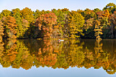 Kakakfahrer auf dem Trap Pond im Trap Pond State Park in Laurel, Sussex County, Delaware, USA
